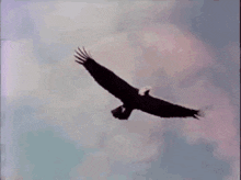 Moving image